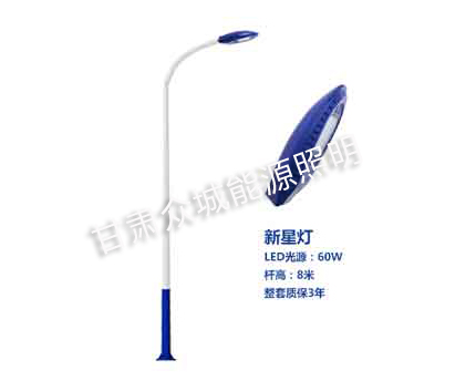 共和爆款市电路灯